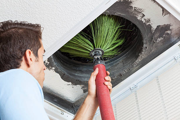 Air Duct Mold Removal in Santa Ana, CA