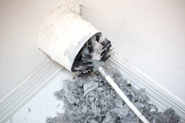 Best Air Duct Mold Removal  in Santa Ana, CA
